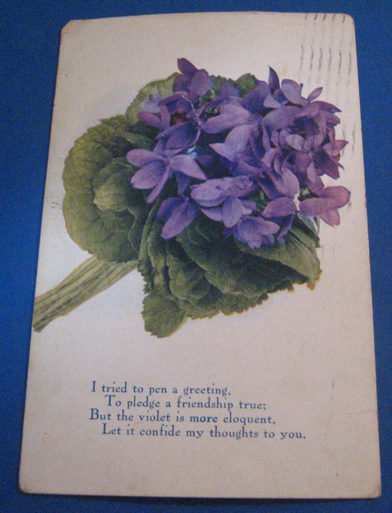 Antique Greeting Postcard Violets Flowers