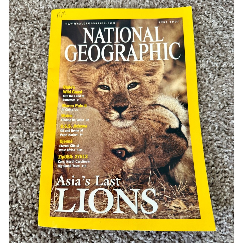 National Geographic Magazine June 2001 OS Yellow Excellent Asia's Last Lions
