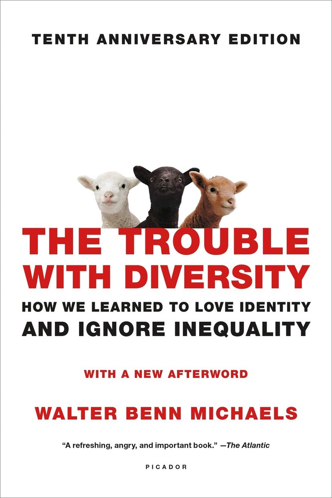 The Trouble with Diversity: How We Learned to Love Identity and Ignore Inequali,