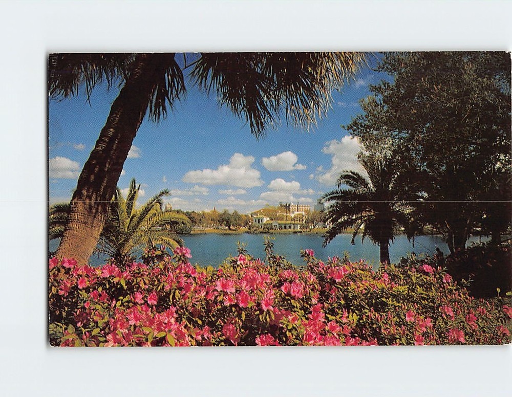 Postcard Azaleas Beside Mirror Lake St. Petersburg Florida USA