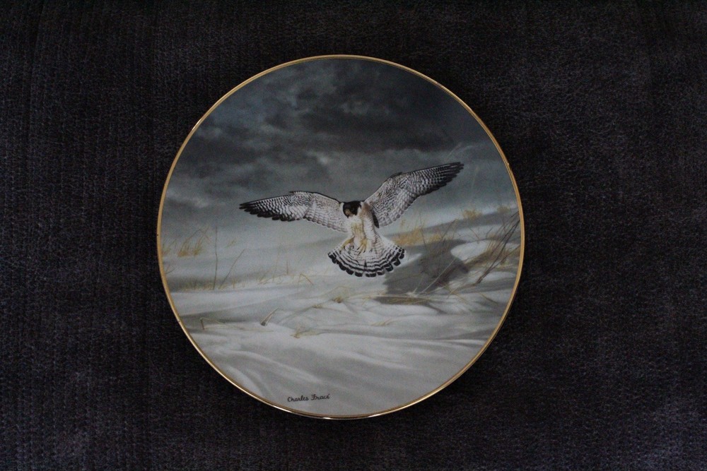 Soaring Majesty Collector Plate The Peregrine Falcon Fine China Bradex With COA