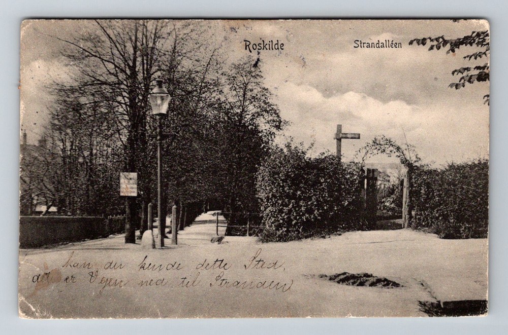 Denmark- Roskilde Beach Avenue Arbor Old Postal Card View Vintage c1907 Postcard