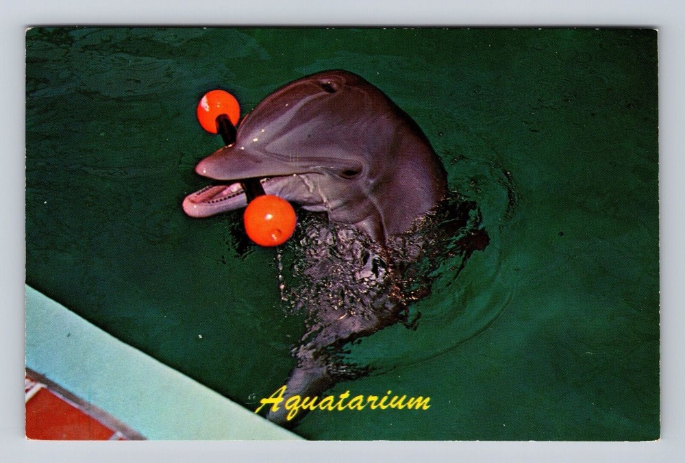 St. Petersburg Beach FL-Florida, Aquarium 