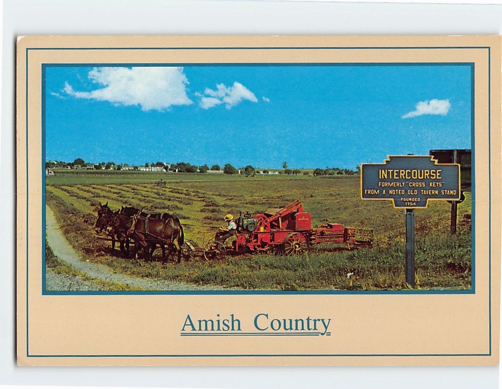 Postcard Amish Country Intercourse Pennsylvania USA