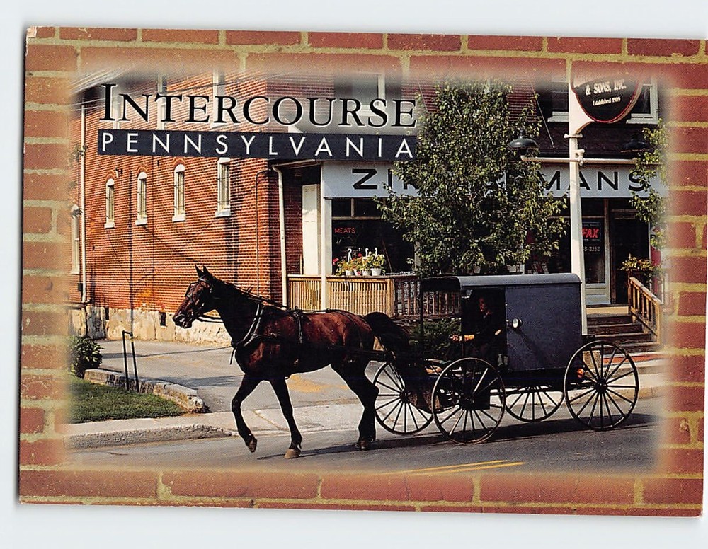 Postcard Amish Country Intercourse Pennsylvania