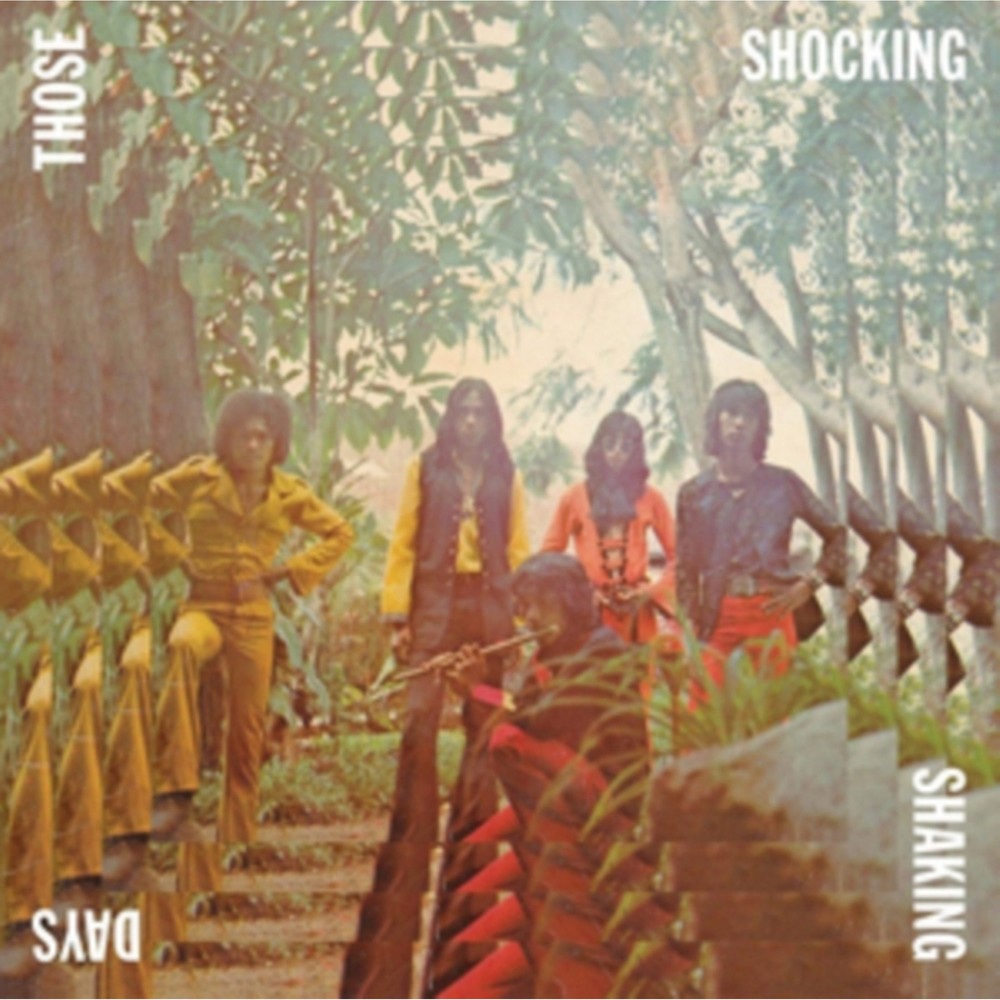 Various Artists - Those Shocking Shaking Days [New LP Vinyl]