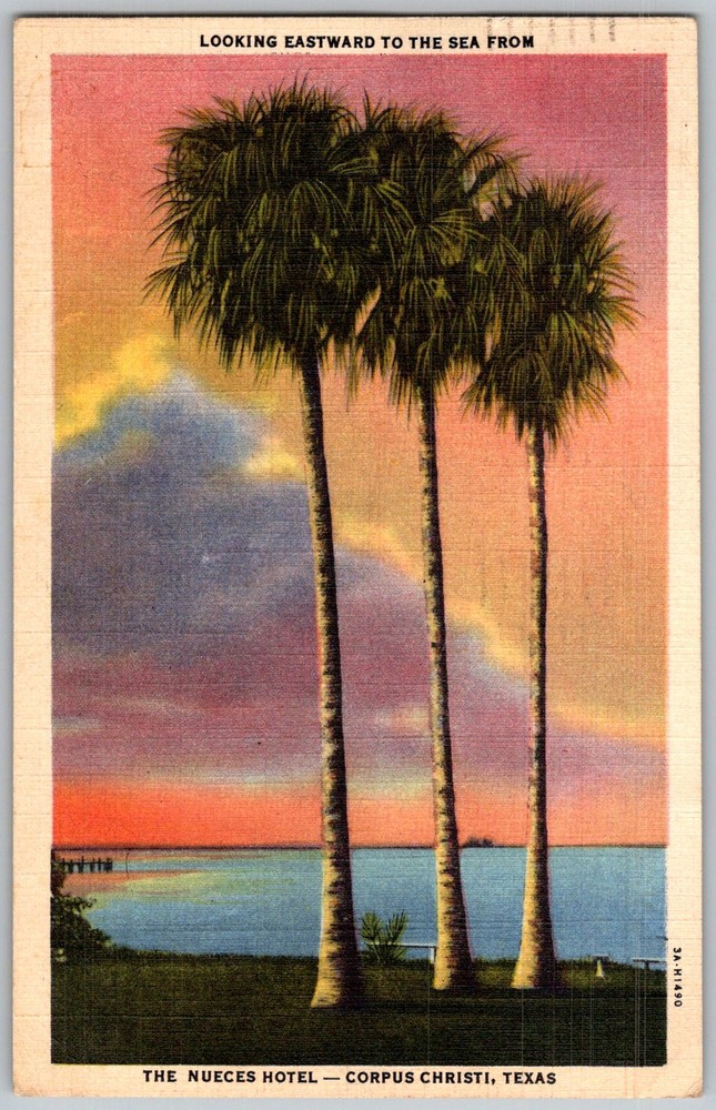 Vtg Linen Postcard Nueces Hotel Palm Trees Corpus Christi, TX 1930s