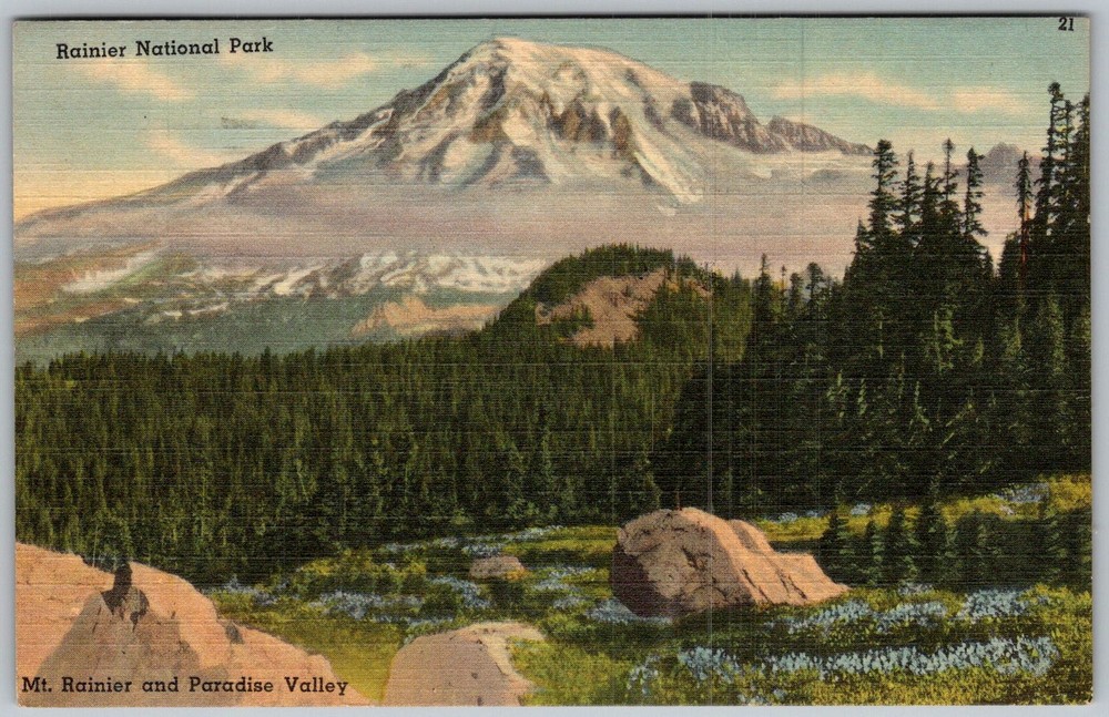 Vtg Linen Postcard MT Rainier Rainier National Park, WA 1930s