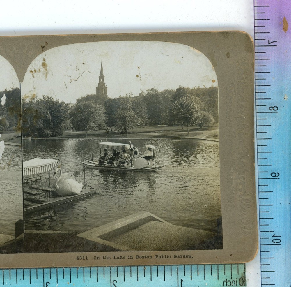Swan Boat Boston Public Garden Lake MA Massachusetts Universal Stereoview