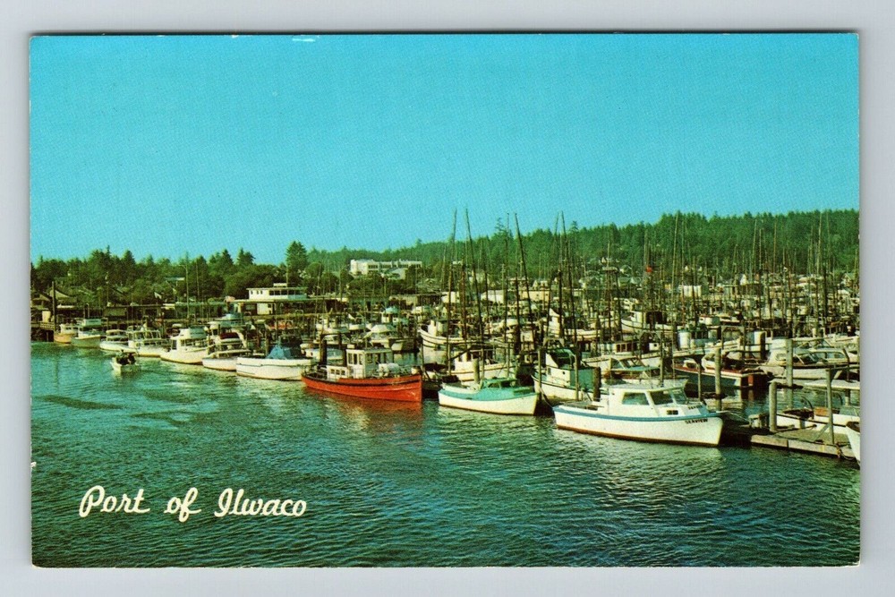 WA-Washington, Ilwaco Port Basin, Aerial Scenic Exterior, Vintage Postcard