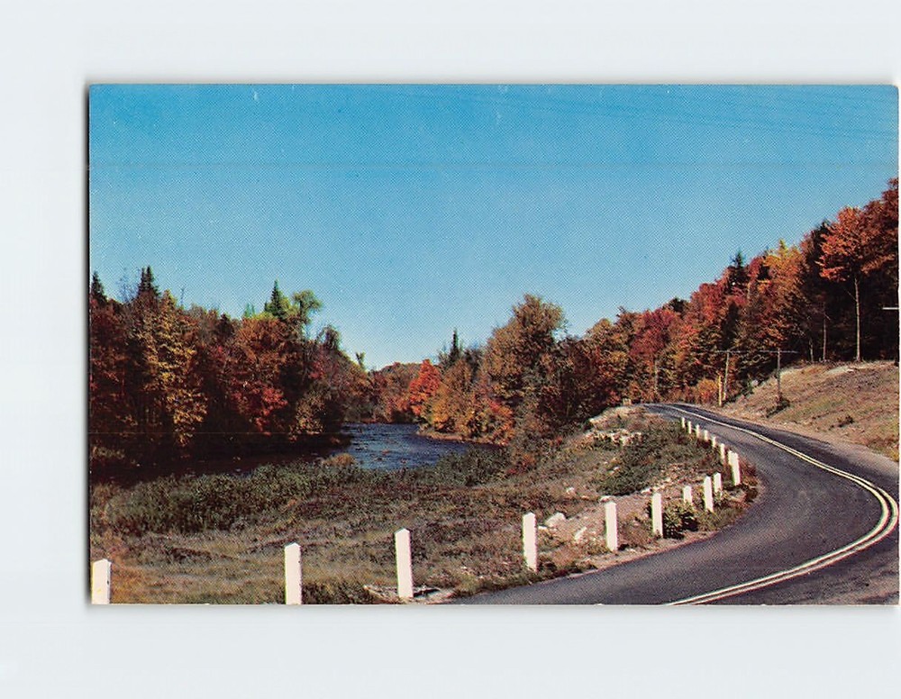 Postcard Nature's Artistry Autumn Scenery