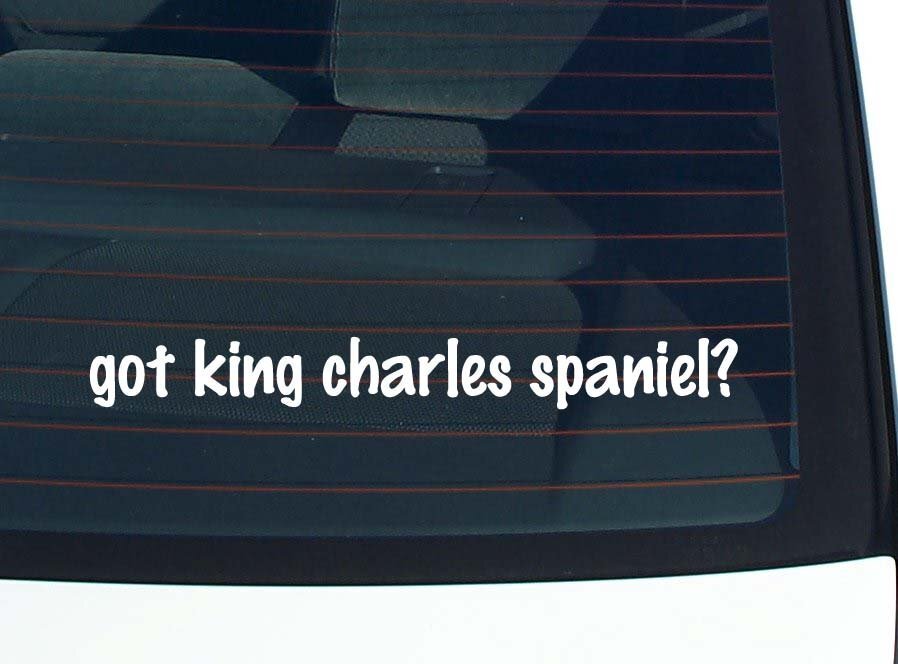 King Charles Spaniel Lover Car Decal Bumper Sticker Vinyl Window