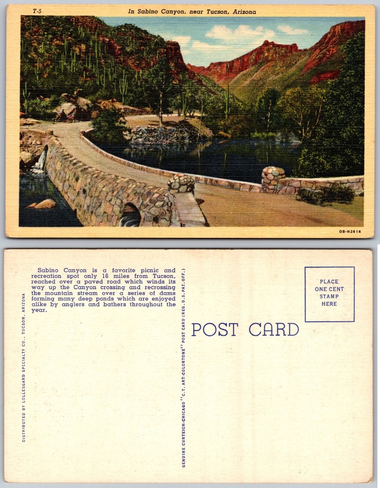 Sabino Canyon Tucson Arizona Bridge Mountains Water Postcard
