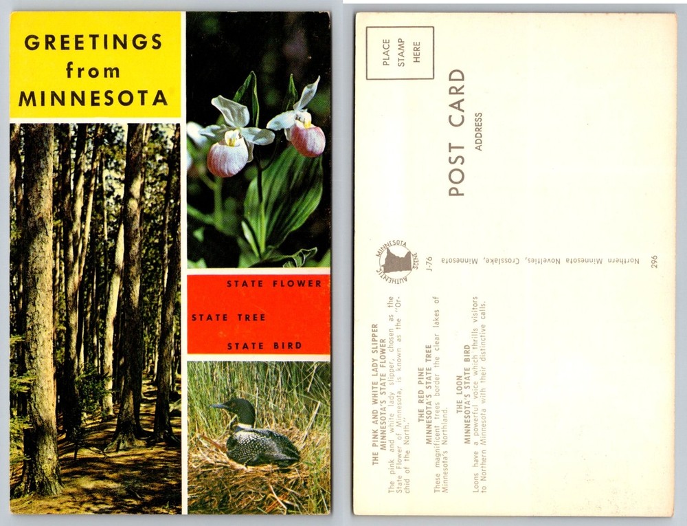 Greetings from Minnesota Postcard State Flower Tree Bird Loon Lady Slipper