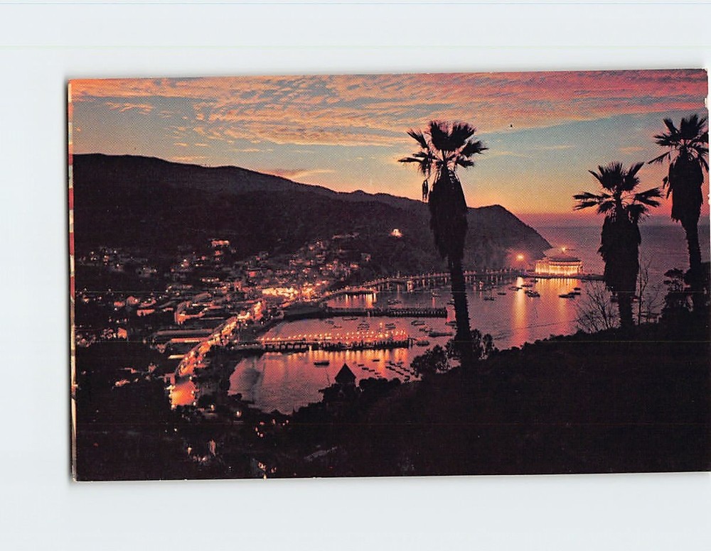 Postcard Avalon Bay at Dusk Catalina Island California USA
