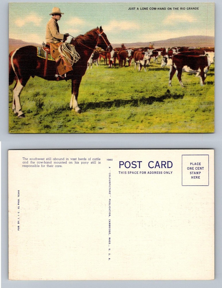 El Paso, TX-Texas, Lone Cowhand on Horse Rio Grande Cattle Vintage Postcard