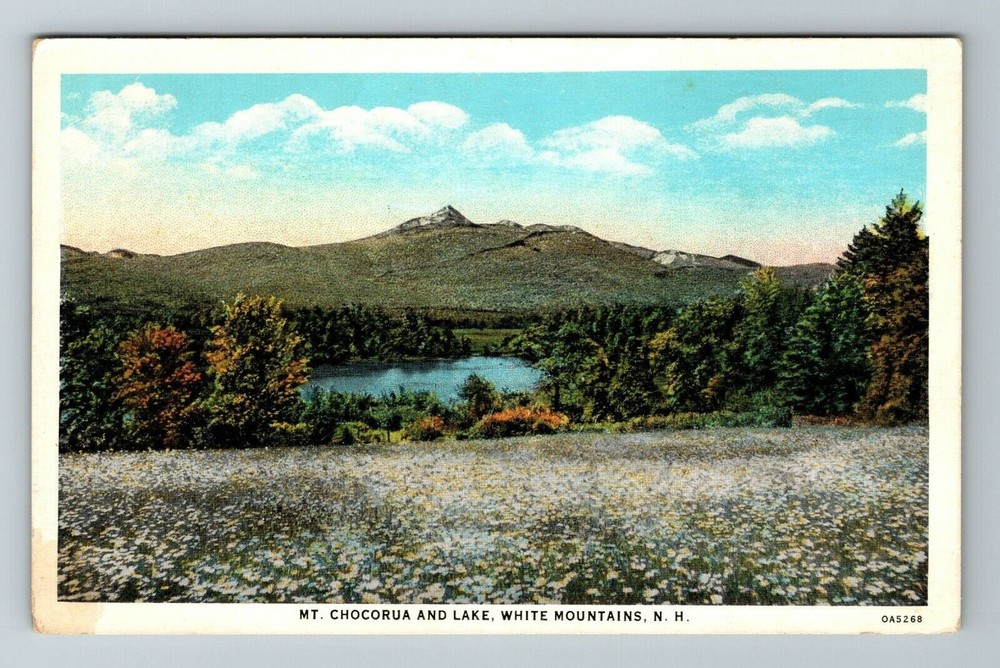 White Mountains NH-New Hampshire, Mt Chocorua And Lake, Scenic Vintage Postcard