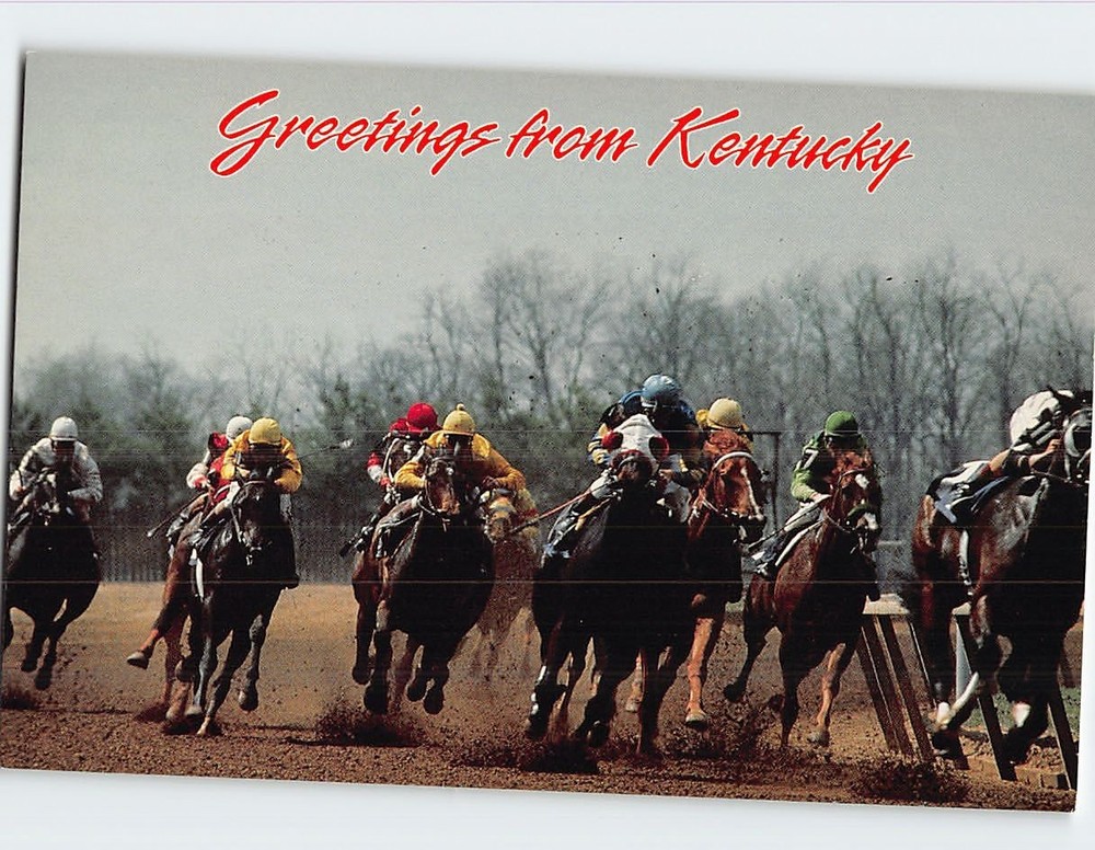 Postcard Horse Racing Scene Kentucky USA