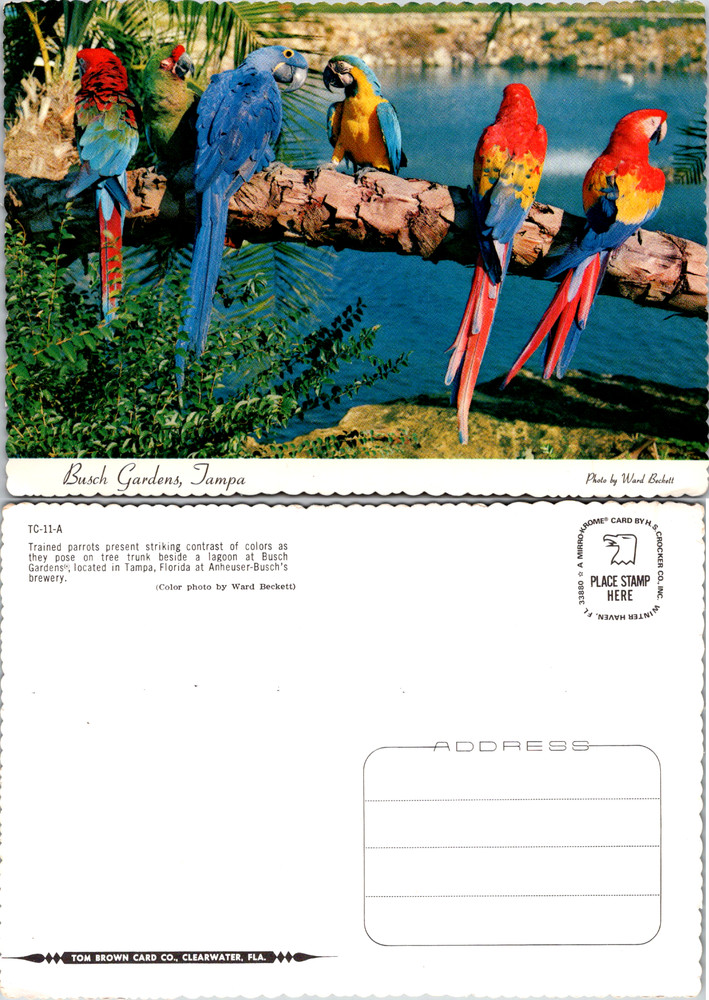 Old Vintage Postcard