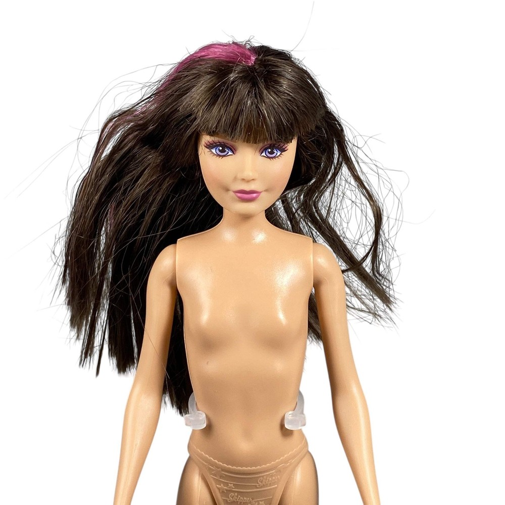2013 Sisters' Horse Adventure Skipper Barbie #BCG05 Doll