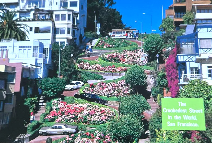 Lombard Street San Francisco, California 1991 Chrome Postcard Next Day Shipping