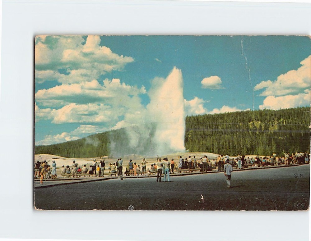 Postcard Old Faithful Geyser Upper Geyser Basin Yellowstone National Park WY