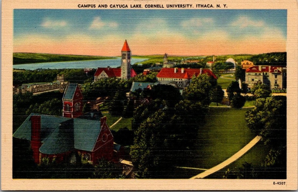 Cornell University Ithaca NY Campus Cayuga Lake Linen Postcard c1940s