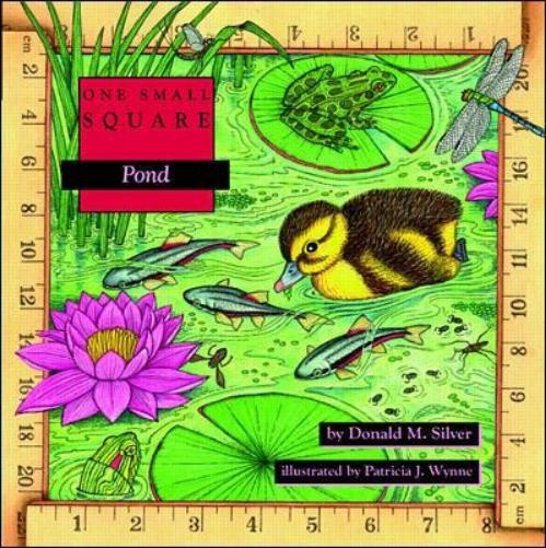 Patricia Wynne Donald Silver Pond (Paperback)Another great item from Rarewaves USA | Free delivery!