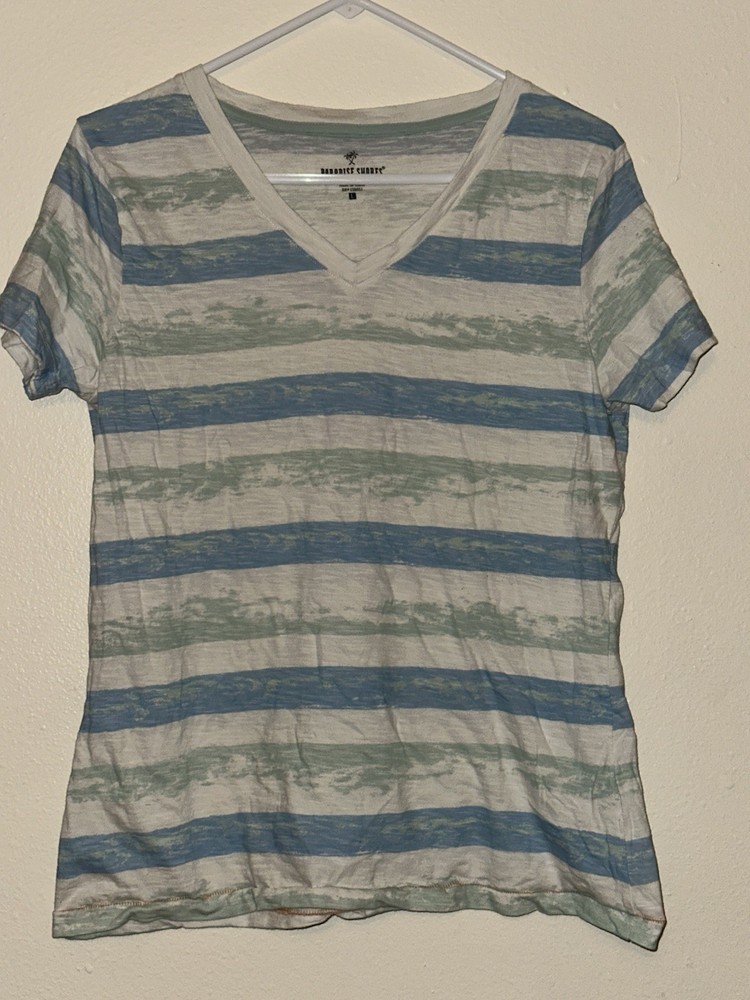 Paradise Shores Men's V-Neck Short Sleeve Striped Cotton Knit T-Shirt L Blue