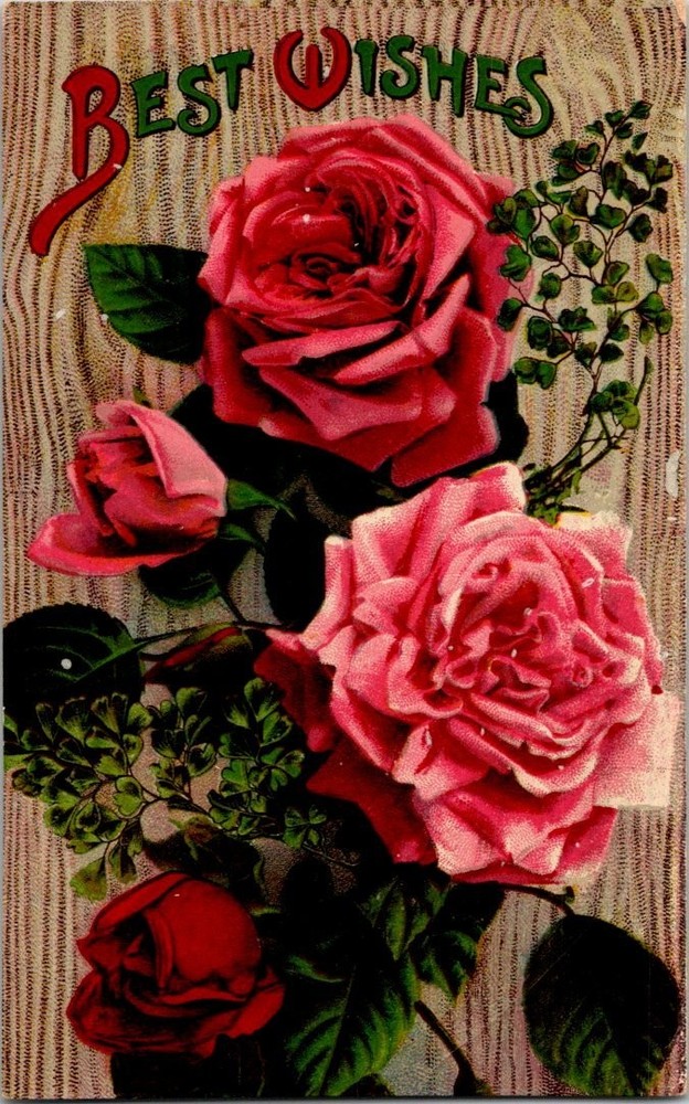 Vintage 