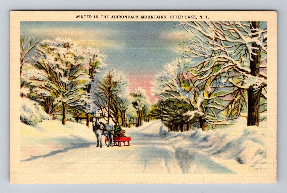 Otter Lake NY-New York Winter Adirondack Mountains Horse Sleigh Vintage Postcard