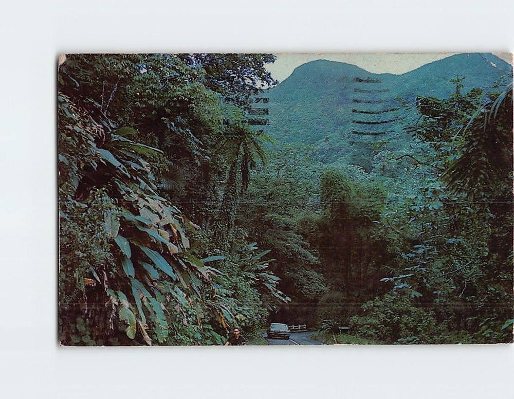 Postcard El Yunque Rain Forest Puerto Rico USA North America