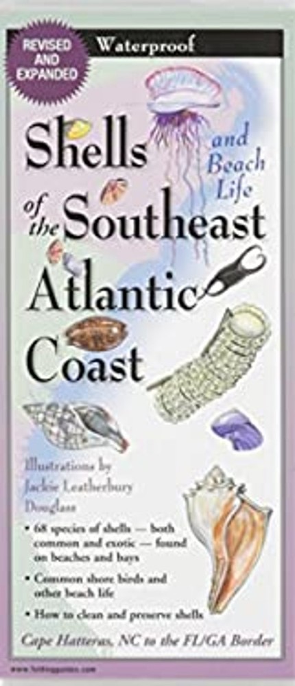 Shells of the Southeast Atlantic CoastFree US Delivery | ISBN:1893770109