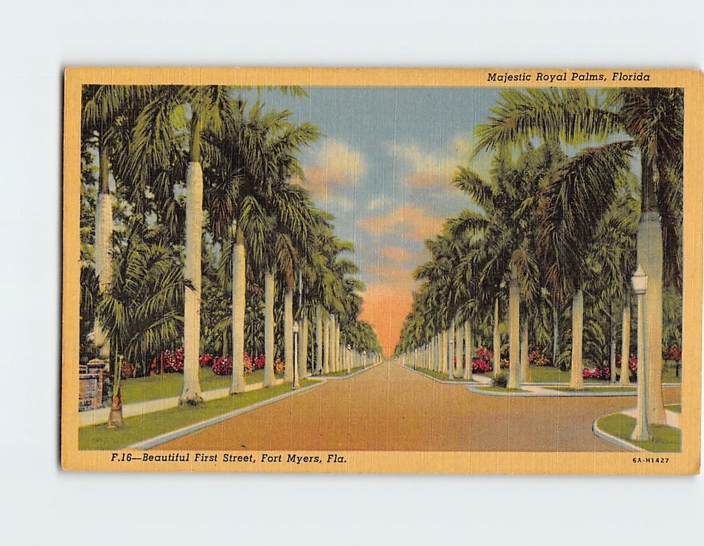 Postcard Majestic Royal Palms First Street Fort Myers Florida