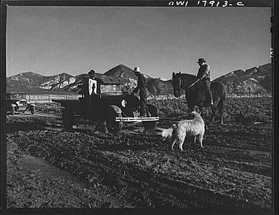 Photo:[Untitled photo, possibly related to: Questa (vicinity), New Mexico]