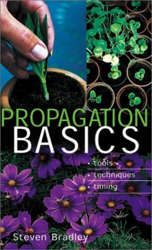 Propagation Basics Pb, Bradley, Steven
