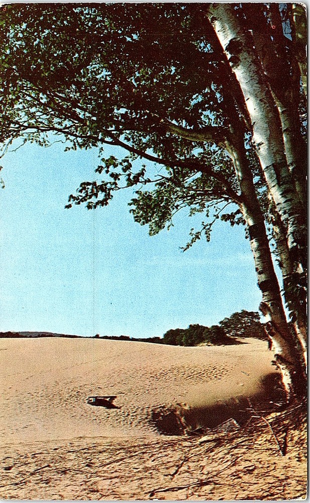 Postcard NATURE SCENE Freeport Maine ME m/09 AI5707