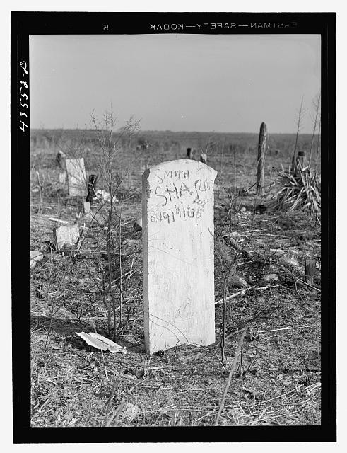 Santee Cooper Basin South Carolina 1941 Negro Graveyard Abandoned Land
