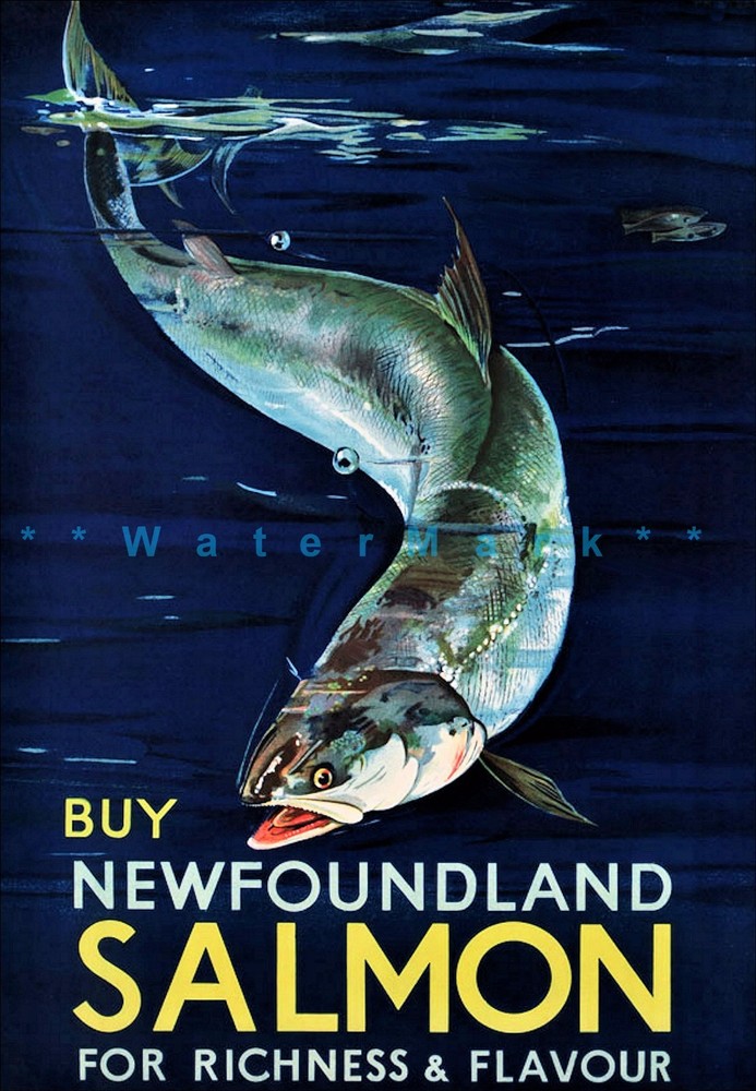 Newfoundland 1932 Vintage Poster Print Salmon For Richness And Flavour Fishing