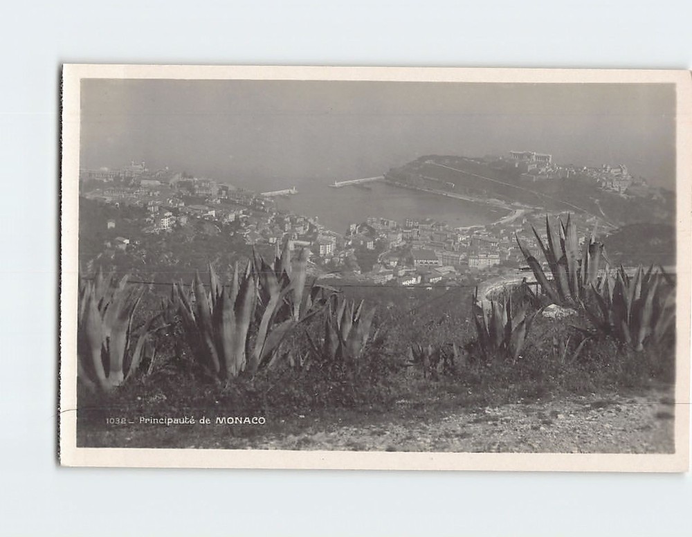 Postcard Aerial View Monaco