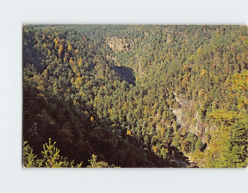 Postcard A View of Tallulah Gorge from Tallulah Point in Northeast Georgia USA