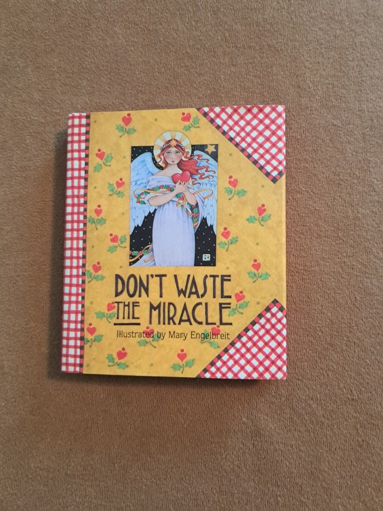 Mary Engelbreit Don't Waste The Miracle Holiday Inspiration Book