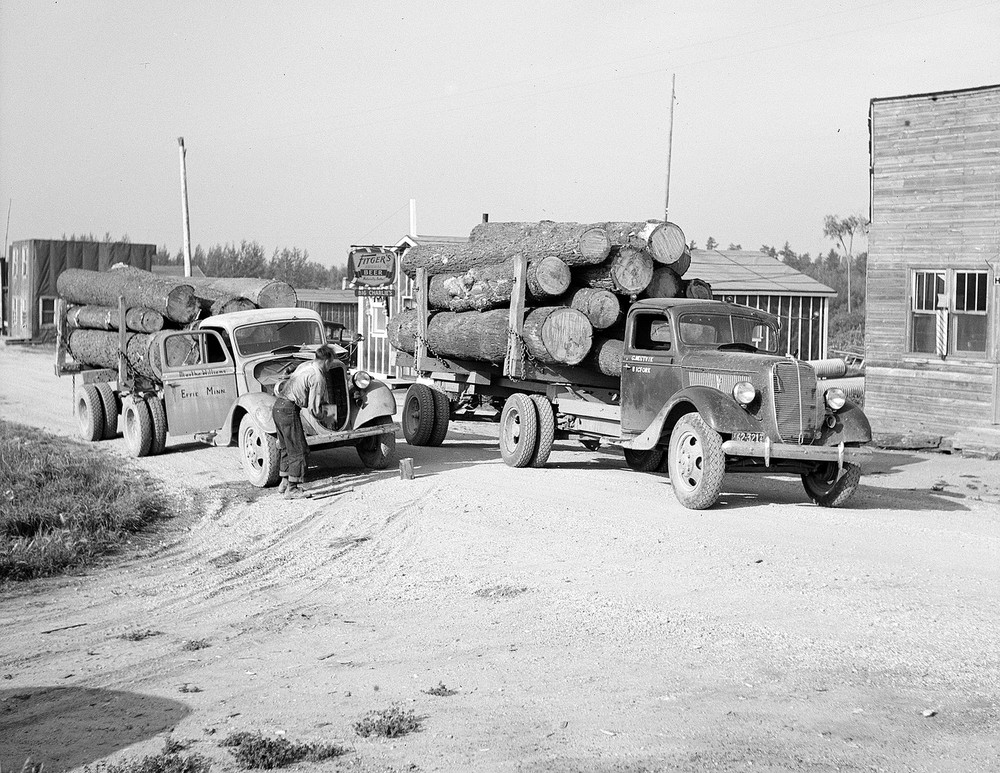 1937 Trucks Loaded with Logs, Craigville, MN Old Photo 8.5