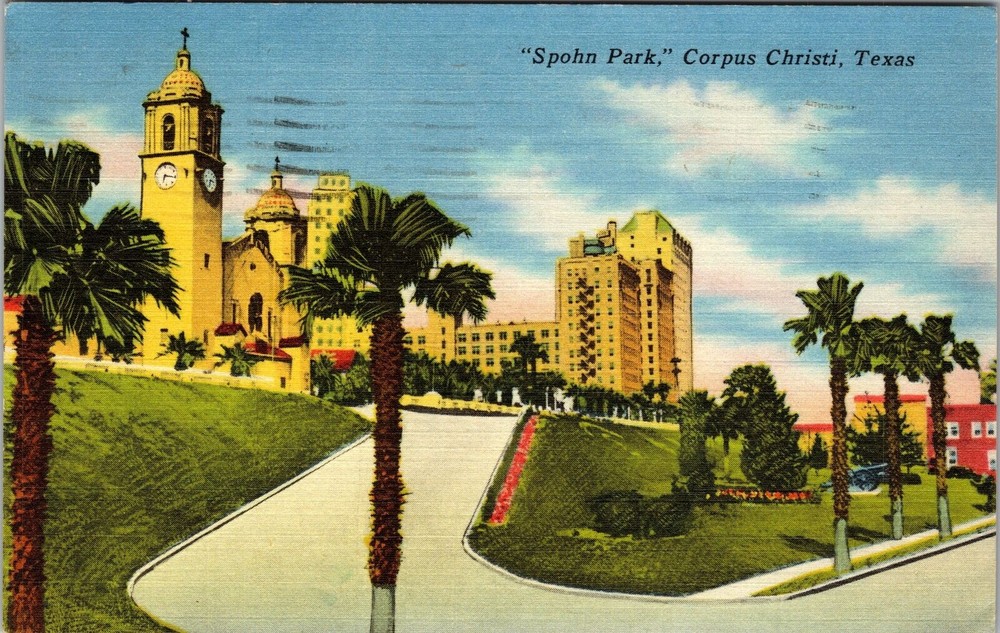 Corpus Christi TX-Texas, Spohn Park, Scenic View, Vintage Postcard