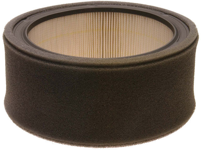 AC Delco 76DT43H Air Filter Fits 1980, 1985-1986 GMC C1500