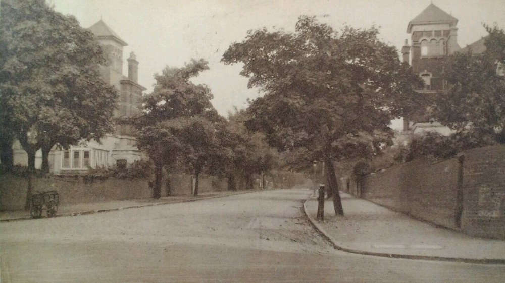 Beckenham UK Postcard Early 1900s Rare London The Avenue Buggy Posted Stamp
