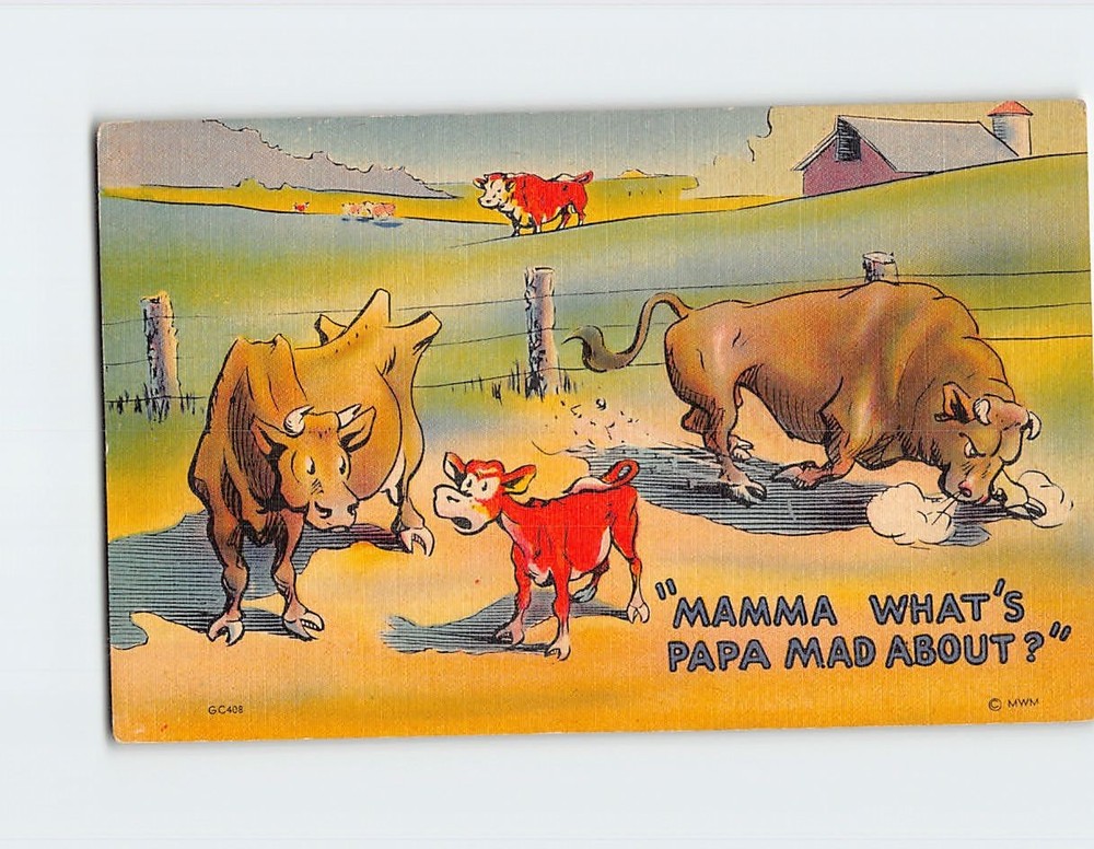 Postcard Bull Family Joke/Humor Art Print