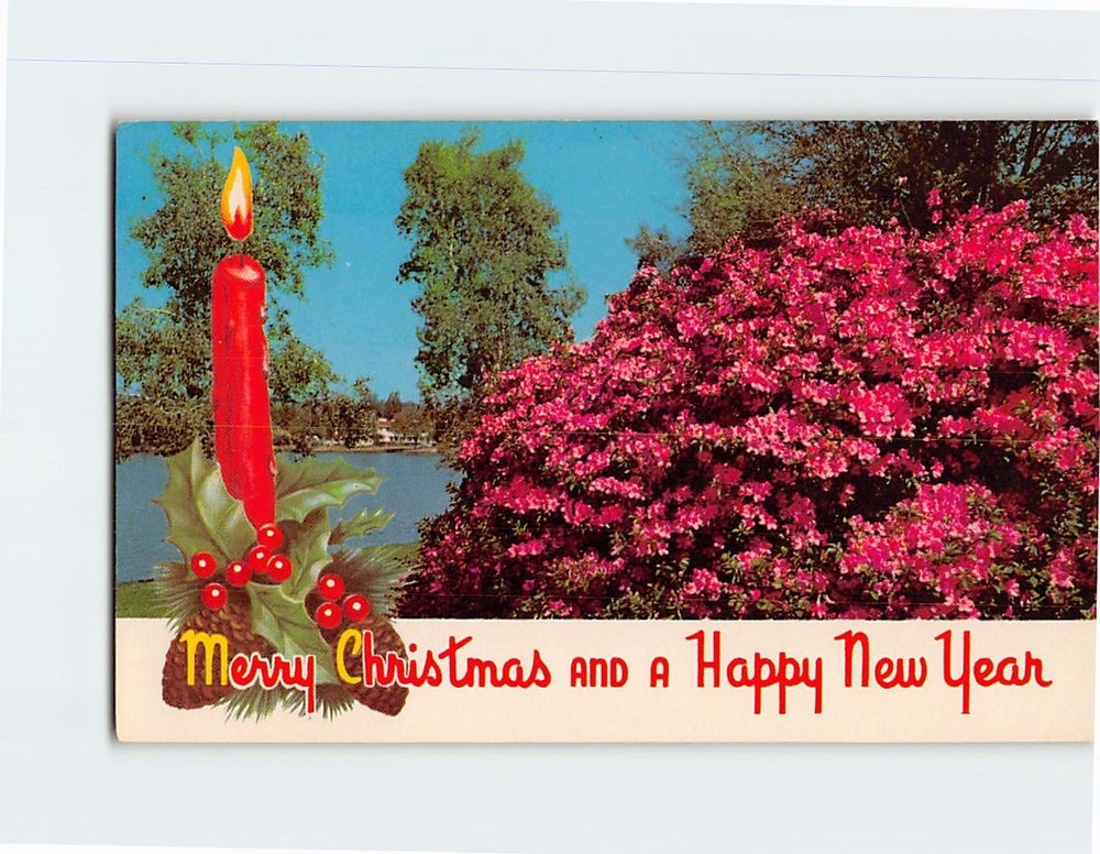 Postcard Merry Christmas and a Happy New Year Florida Greeting Card Florida USA