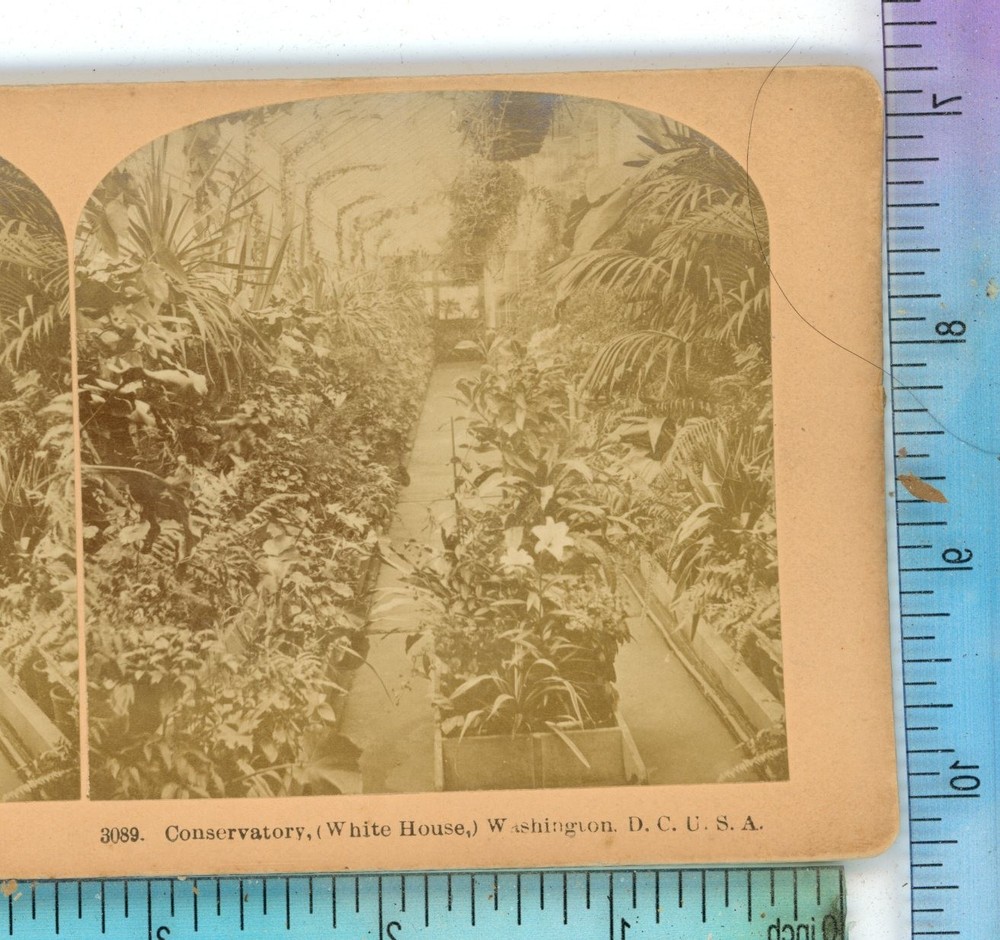 Conservatory White House Washington DC USA Kilburn Stereoview