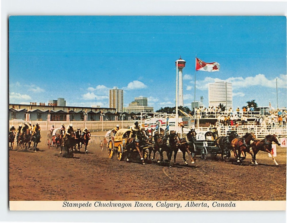 Postcard Stampede Chuckwagon Races Calgary Canada